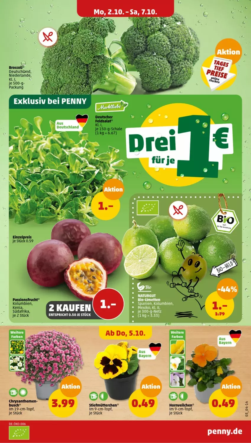 Aktueller Prospekt Penny - Prospekte - von 02.10 bis 07.10.2023 - strona 3 - produkty: broccoli, chrysanthemen, eis, im 9-cm-topf, Schal, Schale, Ti, topf