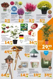 Gazetka promocyjna  - Gazetka - ważna od 17.10 do 17.10.2026 - strona 11 - produkty: apfel, aprikose, auer, beere, beeren, bio, Blüte, brombeere, chrysanthemen, eimer, eis, elle, ente, Garten, hama, heidelbeere, himbeer, himbeere, Holz, johannisbeere, kirsch, kirsche, Knödel, LG, mehl, Meisenknödel, nerf, obst, Ria, rum, sac, Ti, topf, Vogelfutter, Wild