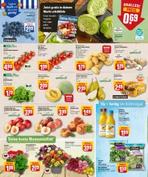 Gazetka promocyjna Rewe - Prospekte - Gazetka - ważna od 04.06 do 04.06.2022 - strona 2 - produkty: beere, beeren, beutel, bio, Birnen, blattspinat, blume, blumen, braun, calibrachoa, champignon, champignons, direktsaft, discount, eis, eisbergsalat, Elan, fleisch, florette, frucht, fruchtfleisch, Frühkartoffeln, geranie, heidelbeere, heidelbeeren, Innocent, kartoffel, kartoffeln, kiwi, kopfsalat, kräuter, kräutern, kühlregal, magazin, mango, melone, Nektar, nektarinen, orange, orangen, orangensaft, pfirsich, pfirsiche, pflanze, pflanzen, plattpfirsiche, regal, reis, rezept, rezepte, rispentomaten, rosen, saft, salat, Schal, Schale, spargel, spinat, tafelbirnen, Ti, tiefpreis, tomate, tomaten, topf, zauberglöckchen