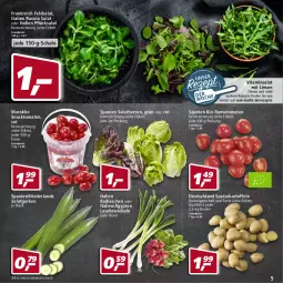 Gazetka promocyjna Real - Gazetka - ważna od 19.03 do 19.03.2022 - strona 5 - produkty: beutel, bio, cola, eimer, eis, feldsalat, gurke, gurken, kartoffel, kartoffeln, Lauchzwiebel, lauchzwiebeln, linsen, radieschen, reis, rezept, rezepte, Romatomaten, rucola, salat, Salatgurke, salatgurken, salatherzen, Schal, Schale, snack, speisekartoffeln, Ti, tomate, tomaten, vita, zwiebel, zwiebeln