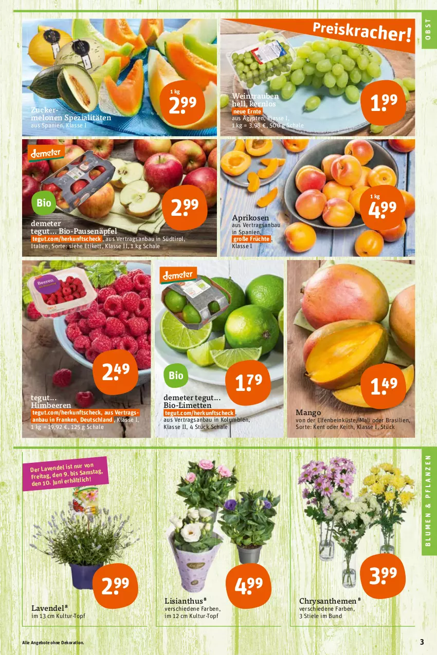 Aktueller Prospekt Tegut - Angebote der Woche - von 05.06 bis 10.06.2023 - strona 5 - produkty: angebot, angebote, aprikose, aprikosen, Bau, beere, beeren, bio, blume, blumen, chrysanthemen, dekoration, früchte, himbeer, himbeere, himbeeren, lavendel, limette, limetten, mango, melone, melonen, Mett, metten, obst, pflanze, pflanzen, Schal, Schale, Spezi, Ti, topf, trauben, wein, zucker, Zuckermelone