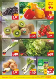 Gazetka promocyjna Netto Marken-Discount - Filial-Angebote - Gazetka - ważna od 13.08 do 13.08.2022 - strona 11 - produkty: angebot, asti, bestpreis, cocktail, eis, Elan, kiwi, knorr, kopfsalat, Lauchzwiebel, lauchzwiebeln, obst, paprika, reis, rispentomaten, salat, Schal, Schale, Ti, tomate, tomaten, trauben, usb, ZTE, zwiebel, zwiebeln