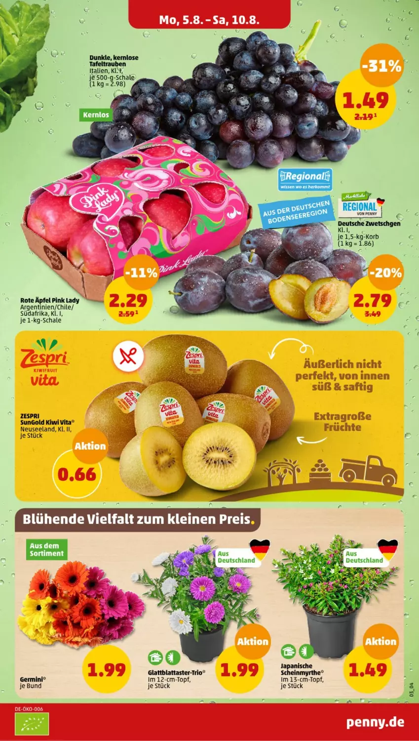 Aktueller Prospekt Penny - Prospekte - von 05.08 bis 10.08.2024 - strona 3 - produkty: Elan, frucht, Germ, korb, Pink Lady, saft, Schal, Schale, Ti, topf