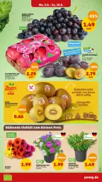 Gazetka promocyjna Penny - Prospekte - Gazetka - ważna od 10.08 do 10.08.2024 - strona 3 - produkty: Elan, frucht, Germ, korb, Pink Lady, saft, Schal, Schale, Ti, topf