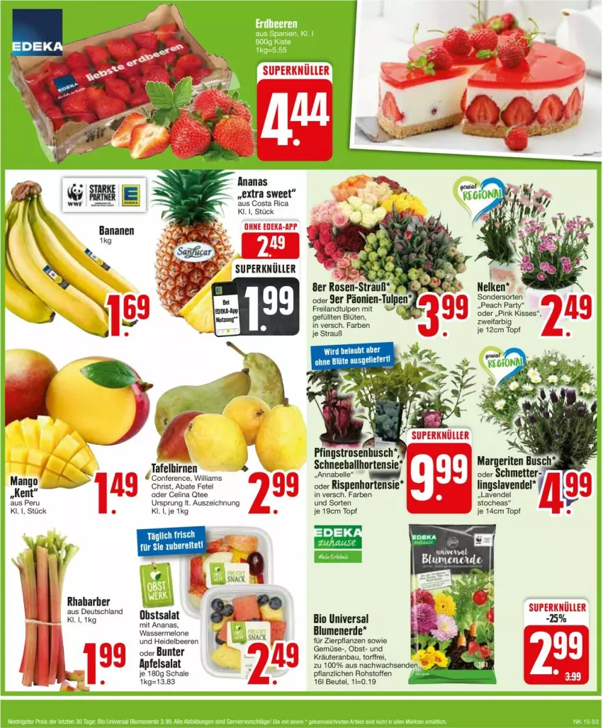 Aktueller Prospekt Edeka - Prospekte - von 08.04 bis 13.04.2024 - strona 3 - produkty: ananas, apfel, ball, Bau, beere, beeren, beutel, bio, Birnen, blume, blumen, blumenerde, Blüte, erde, heidelbeere, heidelbeeren, hortensie, kräuter, lavendel, mango, melone, Mett, obst, Pfingstrosen, pflanze, pflanzen, rhabarber, rosen, salat, Schal, Schale, tafelbirnen, tee, topf, wasser, wassermelone