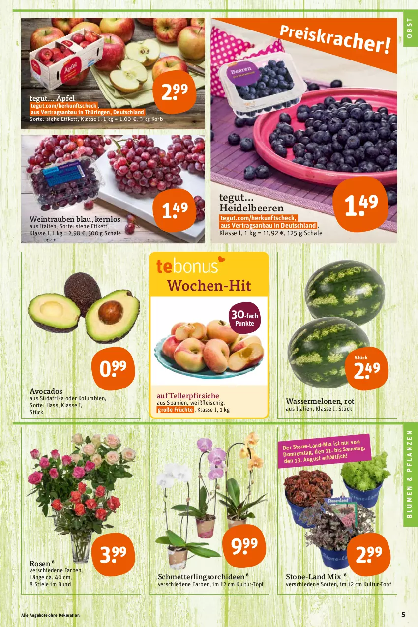 Aktueller Prospekt Tegut - Angebote der Woche - von 08.08 bis 13.08.2022 - strona 5 - produkty: angebot, angebote, avocado, avocados, Bau, beere, beeren, blume, blumen, dekoration, eis, elle, fleisch, früchte, heidelbeere, heidelbeeren, korb, melone, melonen, Mett, obst, orchidee, orchideen, pfirsich, pfirsiche, pflanze, pflanzen, ring, rosen, Schal, Schale, Schmetterling, schmetterlingsorchidee, teller, Ti, topf, trauben, wasser, wassermelone, wassermelonen, wein