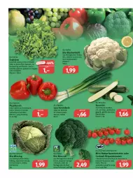 Gazetka promocyjna Feneberg - Prospekte - Gazetka - ważna od 17.12 do 17.12.2022 - strona 6 - produkty: Bau, bio, blume, blumen, blumenkohl, broccoli, brot, cocktail, eintöpfe, eis, ente, fisch, fleisch, garnier, grill, ilag, Käse, kräuter, latte, Lauchzwiebel, lauchzwiebeln, LG, mac, paprika, paprika rot, quark, reis, rispentomaten, rwe, salat, salate, sauce, saucen, suppe, suppen, Ti, tisch, tomate, tomaten, vita, vorspeise, Wirsing, zucchini, zwiebel, zwiebeln