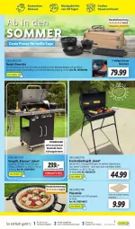Gazetka promocyjna Lidl - Aktionsprospekt - Gazetka - ważna od 04.06 do 04.06.2022 - strona 51 - produkty: auer, backofen, backofen und, Brei, decke, Deckel, edelstahl, eis, elle, gasgrill, grill, grillfläche, grillplatte, Holz, holzkohle, holzkohlegrill, Kohlegrill, korb, latte, Meister, ndk, Ofen, pizza, reis, Ria, rwe, Ti