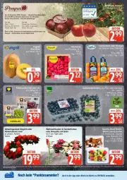 Gazetka promocyjna Edeka - Prospekte - Gazetka - ważna od 22.11 do 22.11.2025 - strona 4 - produkty: Adventskranz, apfel, Brei, Kranz, nuss, payback, saft, tee, tesa, Ti, Tiere, topf, Weihnachtsstern