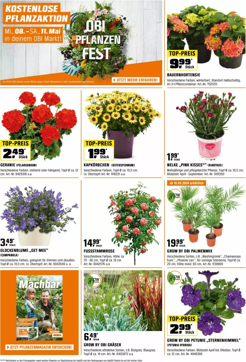 Aktueller Prospekt Obi - Prospekte - von 01.05 bis 16.05.2024 - strona 2 - produkty: auer, Bau, Bauer, blume, Blüte, Campanula, Container, eis, geranie, hama, hortensie, Körbchen, Pelargonium, petunie, pflanze, pril, reis, Ti, top-preis, topf, übertopf, Yo, ZTE