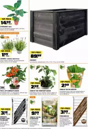 Gazetka promocyjna Obi - Prospekte - Gazetka - ważna od 16.05 do 16.05.2024 - strona 3 - produkty: auto, banane, Bau, bio, blume, blumen, blumenerde, eis, erde, Garten, Gartenpflanze, Holz, Kraut, kräuter, lavendel, mac, pflanze, pflanzen, pflanzerde, reis, rind, rindenmulch, rwe, Ti, tomate, tomaten, top-preis, topf, usb, Yo, ZTE