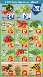 Gazetka promocyjna Rewe - Prospekte - Gazetka - ważna od 12.08 do 12.08.2023 - strona 7 - produkty: bio, blume, blumen, bohne, bohnen, braun, broccoli, Buschbohnen, champignon, champignons, dekoration, eis, eisbergsalat, elle, kartoffel, kartoffeln, korb, lamm, Lauchzwiebel, lauchzwiebeln, melone, merl, pflanze, radieschen, reis, rispentomaten, salat, Schal, Schale, sonnenblume, sonnenblumen, speisekartoffeln, stauden, Ti, tiefpreis, tomate, tomaten, topf, wasser, wassermelone, zwiebel, zwiebeln