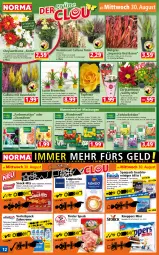 Gazetka promocyjna Norma - Norma - Gazetka - ważna od 04.09 do 04.09.2023 - strona 12 - produkty: Bau, blume, blumen, Blüte, Bromelie, Cap, cappuccino, chips, cin, creme, geschirr, gin, Heidekraut, kaffee, kakao, knoppers, Kraut, kulturtopf, Narzissen, orange, pflanze, pflanzen, Pommels, reiniger, Ria, rouge, saltletts, snack, Speck, Spezi, Ti, topf, trauben, Vase, zahncreme, zwiebel, zwiebeln