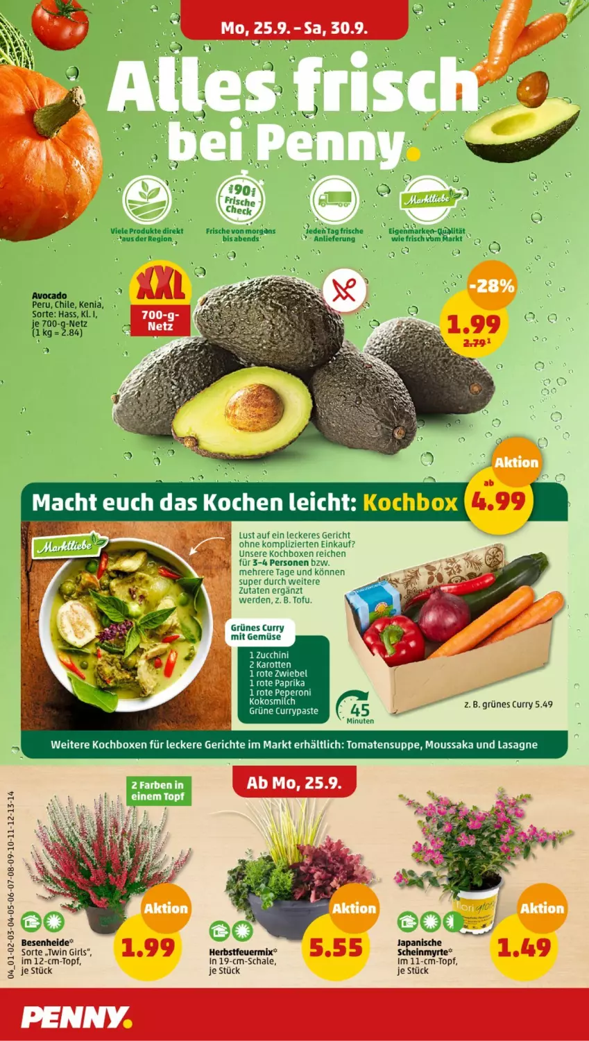 Aktueller Prospekt Penny - Prospekte - von 25.09 bis 30.09.2023 - strona 4 - produkty: avocado, curry, erde, fisch, fische, karotten, kokos, kokosmilch, LG, milch, mit gemüse, Rote Zwiebel, Schal, Schale, Tofu, topf, zucchini, zwiebel