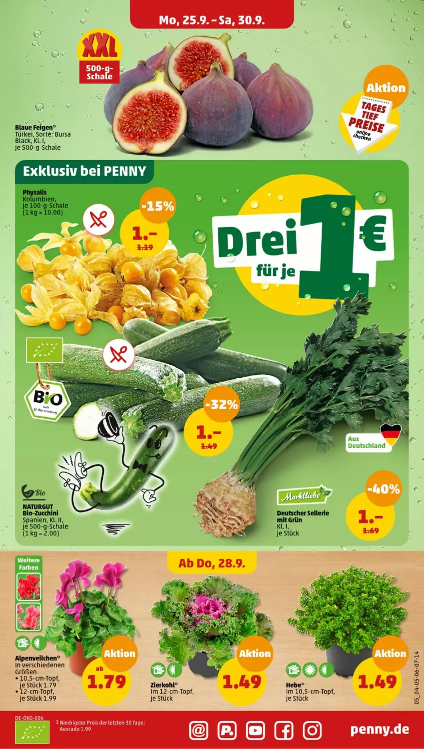 Aktueller Prospekt Penny - Prospekte - von 25.09 bis 30.09.2023 - strona 5 - produkty: avocado, bio, bio-zucchini, eis, elle, Feigen, lack, natur, reis, Schal, Schale, Ti, topf, ZTE, zucchini