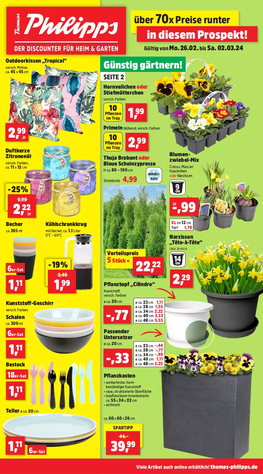 Aktueller Prospekt Thomas Philipps - von 26.02 bis 02.03.2024 - strona 1 - produkty: Becher, besteck, blume, blumen, decke, Deckel, Duftkerze, eis, elle, geschirr, heinz, kerze, kissen, kühlschrank, Narzissen, pflanze, pflanzen, Pflanzkasten, Pflanztopf, Primeln, reis, Schal, Schale, Schrank, spartipp, teller, Ti, topf, Untersetzer, vorteilspreis, zitrone, zitronen, Zitronenöl, zwiebel