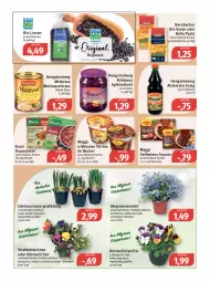 Gazetka promocyjna Feneberg - Prospekte - Gazetka - ważna od 25.03 do 25.03.2023 - strona 10 - produkty: apfel, auer, Becher, bernbacher, beutel, bio, eis, elle, essig, flasche, hengstenberg, Hengstenberg Altmeister, knorr, knorr fix, Kraut, LG, linsen, maggi, Meister, Narzissen, pasta, rotkohl, sauce, saucen, Sauerkraut, terrine, Ti, topf, wein, Weinsauerkraut