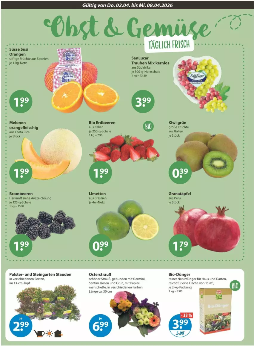 Aktueller Prospekt Vmarkt - Prospekte - von 02.04 bis 08.04.2026 - strona 4 - produkty: beere, beeren, bio, brombeere, brombeeren, dünger, eis, erdbeere, erdbeeren, fleisch, früchte, Garten, Germ, grana, Granatäpfel, kiwi, limette, limetten, melone, melonen, Mett, metten, natur, obst, orange, orangen, papier, Rana, rosen, saft, Schal, Schale, stauden, Ti, topf, trauben