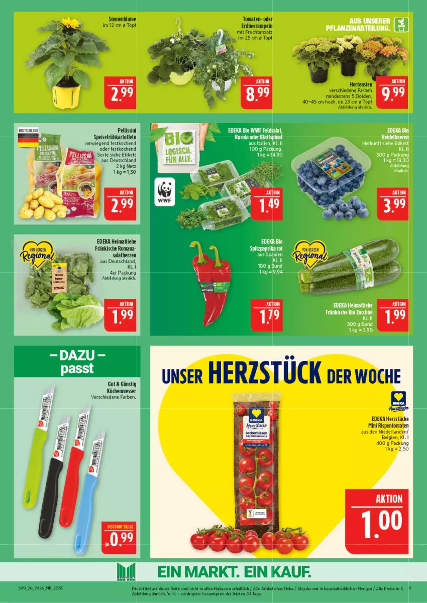 Aktueller Prospekt Marktkauf - Prospekt - von 21.06 bis 27.06.2026 - strona 9 - produkty: blume, deka, discount, eis, frucht, Frühkartoffeln, hortensie, hortensien, kartoffel, kartoffeln, küche, Küchen, LG, messer, mit frucht, reis, rispentomaten, salat, salatherzen, sonnenblume, speisefrühkartoffeln, Ti, tomate, tomaten, topf, ZTE