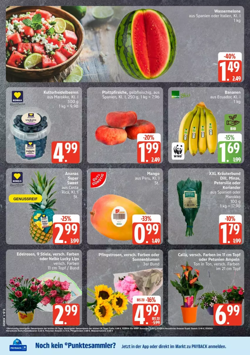 Aktueller Prospekt Edeka - Prospekte - von 11.05 bis 16.05.2026 - strona 8 - produkty: Koriander, kräuter, melone, payback, Ria, tesa, Ti, topf, wasser, wassermelone