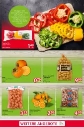 Gazetka promocyjna Selgros - Food - Gazetka - ważna od 11.12 do 11.12.2024 - strona 3 - produkty: angebot, angebote, auer, Blattclementinen, clementinen, eier, eis, Elefant, elle, erdnüsse, früchte, Kaki, kartoffel, kartoffeln, paprika, paprika mix, sac, Ti, zwiebel, zwiebeln