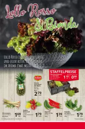 Gazetka promocyjna Selgros - Food - Gazetka - ważna od 06.03 do 06.03.2024 - strona 6 - produkty: ananas, bio, eis, monte, paprika, peperoni, Peroni, reis, salat, Ti, zitrone, zitronen