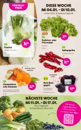 Gazetka promocyjna Denns Biomarkt - Prospekte - Gazetka - ważna od 17.01 do 17.01.2023 - strona 2 - produkty: angebot, angebote, clementinen, eis, elle, fenchel, obst, paprika, reis, rote bete, salat, Spitzpaprika, Ti, vorteilspreis