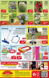 Gazetka promocyjna Zimmermann - Prospekte - Gazetka - ważna od 15.07 do 15.07.2023 - strona 10 - produkty: angebot, angebote, angebotspreis, bestway, bio, Container, decke, dip, edelstahl, eis, elle, ente, erde, Garten, gartenschlauch, grill, grillrost, hortensie, hydrangea, Kescher, lack, Lacke, LG, Liege, luftmatratze, mac, maracuja, matratze, Papaya, pflanze, pflanzen, pool, Reinigung, reis, ring, rosen, rwe, Säulengrill, schlauch, sonderposten, Spiele, teller, Ti, topf