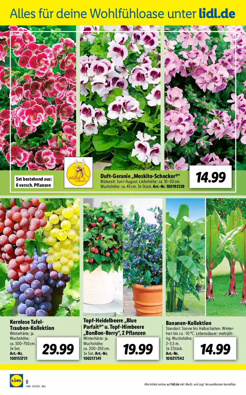 Aktueller Prospekt Lidl - Aktuelle Onlineshop-Highlights - von 01.04 bis 30.04.2022 - strona 8 - produkty: auer, banane, bananen, beere, Blüte, geranie, heidelbeere, himbeer, himbeere, hocker, ndk, pflanze, pflanzen, Ti, topf, trauben