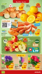 Gazetka promocyjna Penny - Prospekte - Gazetka - ważna od 03.02 do 03.02.2024 - strona 3 - produkty: Becher, beutel, karotten, orange, orangen, ring, topf