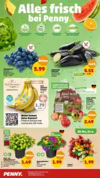 Gazetka promocyjna Penny - Prospekte - Gazetka - ważna od 29.04 do 29.04.2023 - strona 2 - produkty: aubergine, banane, bananen, beutel, eis, gin, im 9-cm-topf, reis, Ti, topf, ZTE