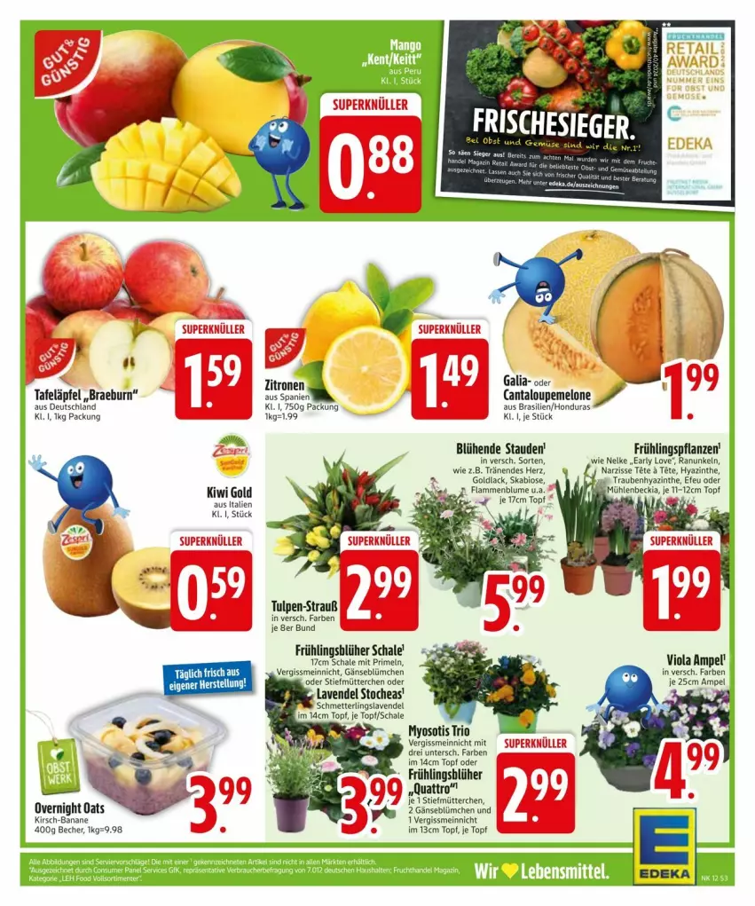 Aktueller Prospekt Edeka - Prospekte - von 17.03 bis 22.03.2025 - strona 3 - produkty: banane, Becher, bio, blume, deka, kirsch, lack, lamm, lavendel, melone, Mett, pflanze, pflanzen, Primeln, Schal, Schale, Schmetterling, stauden, Ti, topf, trauben, Yo, zitrone, zitronen