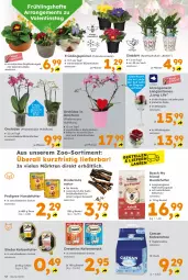 Gazetka promocyjna  - Gazetka - ważna od 15.02 do 15.02.2025 - strona 12 - produkty: angebot, beutel, Blüte, bosch, catsan, dreamies, katzenfutter, katzensnack, Katzenstreu, natur, orchidee, pedigree, pflanze, phalaenopsis, rind, rinder, rosen, sac, Schal, Schale, sheba, snack, Ti, topf, übertopf, wein, whiskey