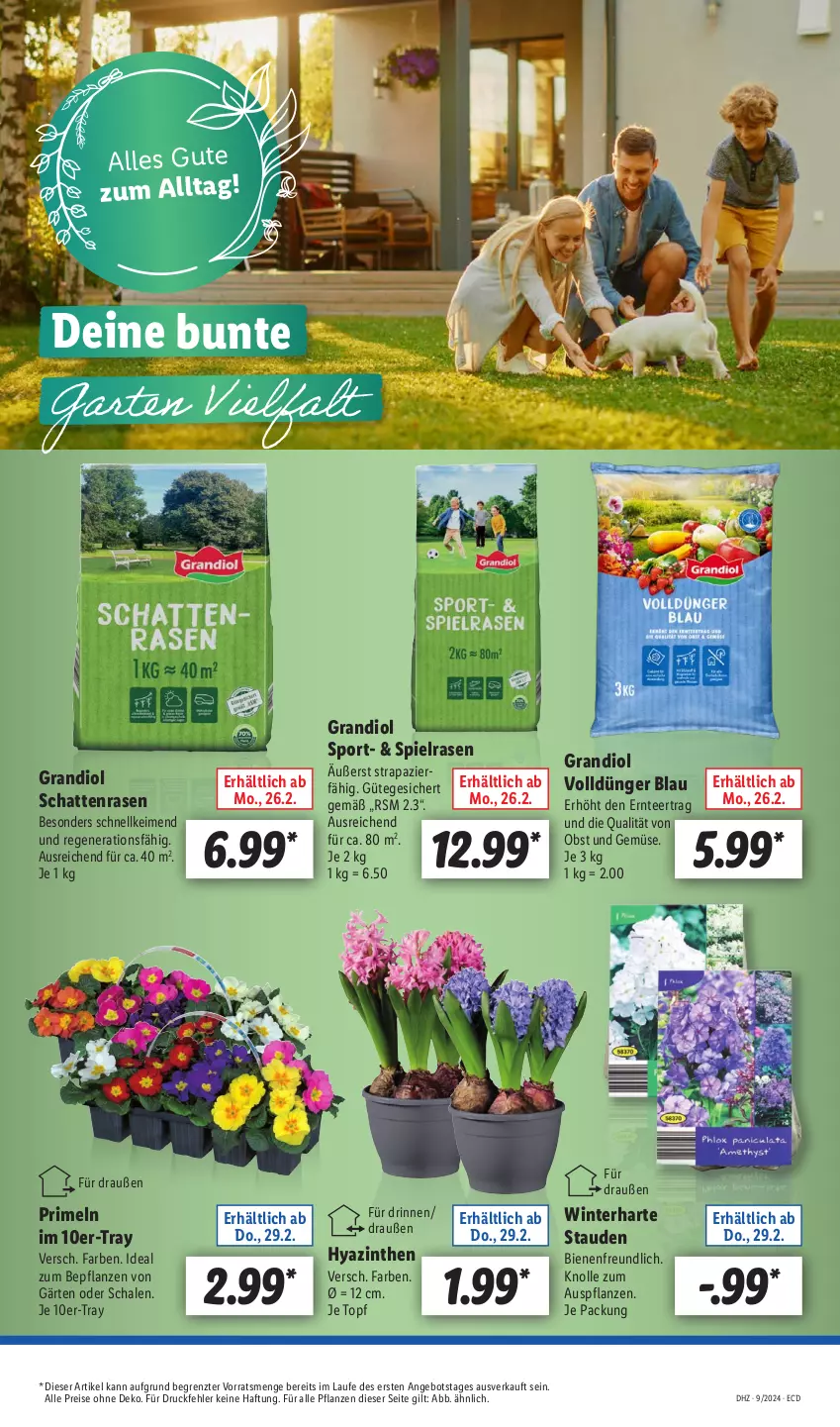 Aktueller Prospekt Lidl - Aktionsprospekt - von 26.02 bis 02.03.2024 - strona 7 - produkty: angebot, dünger, eis, obst, Obst und Gemüse, pflanze, pflanzen, Primeln, rasen, reis, Schal, Schale, Sport, stauden, tee, Ti, topf, und gemüse, ZTE