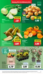 Gazetka promocyjna Lidl - Aktionsprospekt - Gazetka - ważna od 02.03 do 02.03.2024 - strona 3 - produkty: Abtei, angebot, bio, bioland, Birnen, discount, eis, kartoffel, kartoffeln, kohlrabi, LG, mandarine, mandarinen, pflanze, pflanzen, reis, speisekartoffeln, Ti, topf, ZTE