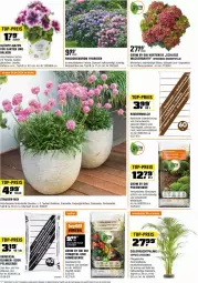 Gazetka promocyjna Obi - Prospekte - Gazetka - ważna od 30.04 do 30.04.2024 - strona 2 - produkty: aust, bio, blume, blumen, Blüte, Container, eis, elle, erde, frucht, Garten, Gemüseerde, hortensie, HP, hydrangea, hydrangea macrophylla, Kraut, kräuter, Lobelie, mac, petunie, pflanze, pflanzen, pflanzerde, reis, rind, rindenmulch, Spezi, stauden, Ti, tomate, tomaten, top-preis, topf, übertopf, und gemüse, usb, Wild, Yo, ZTE