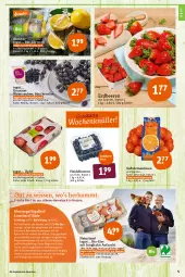 Gazetka promocyjna Tegut - Angebote der Woche - Gazetka - ważna od 19.03 do 19.03.2022 - strona 5 - produkty: angebot, angebote, Bau, beere, beeren, beutel, bio, bio-zitronen, clementinen, dekoration, eier, eis, erdbeere, erdbeeren, Geflügel, heidelbeere, heidelbeeren, natur, naturland, obst, reis, saft, Schal, Schale, Ti, Tiere, trauben, wein, zitrone, zitronen
