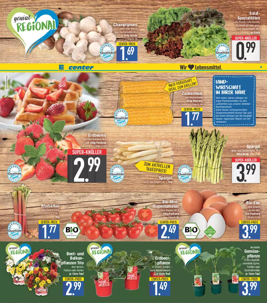 Aktueller Prospekt E Center - Angebote der Woche - von 15.05 bis 20.05.2023 - strona 3 - produkty: balkonpflanzen, beere, beeren, bio, braun, champignon, champignons, cocktail, eier, eis, ente, erdbeere, erdbeeren, Erdbeerpflanze, gurke, mais, pflanze, pflanzen, reis, rhabarber, rispentomaten, salat, Schal, Schale, spargel, Spezi, super-knüller, tomate, tomaten, topf, zucker, zuckermais