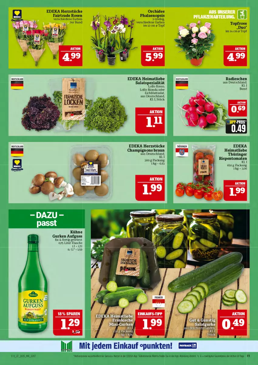 Aktueller Prospekt Marktkauf - Prospekt - von 29.06 bis 05.07.2025 - strona 11 - produkty: aktionspreis, bio, braun, champignon, champignons, champignons braun, deka, Eichblattsalat, eis, flasche, gewürz, gurke, gurken, Kühne, nuss, orchidee, phalaenopsis, radieschen, reis, ring, rispentomaten, rosen, salat, Spezi, Ti, tomate, tomaten, topf, ZTE