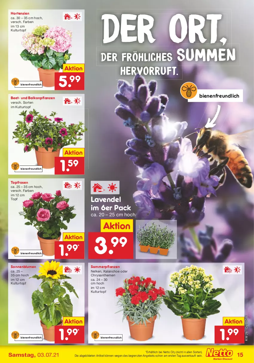 Aktueller Prospekt Netto Marken-Discount - Filial Angebote - von 28.06 bis 03.07.2021 - strona 17