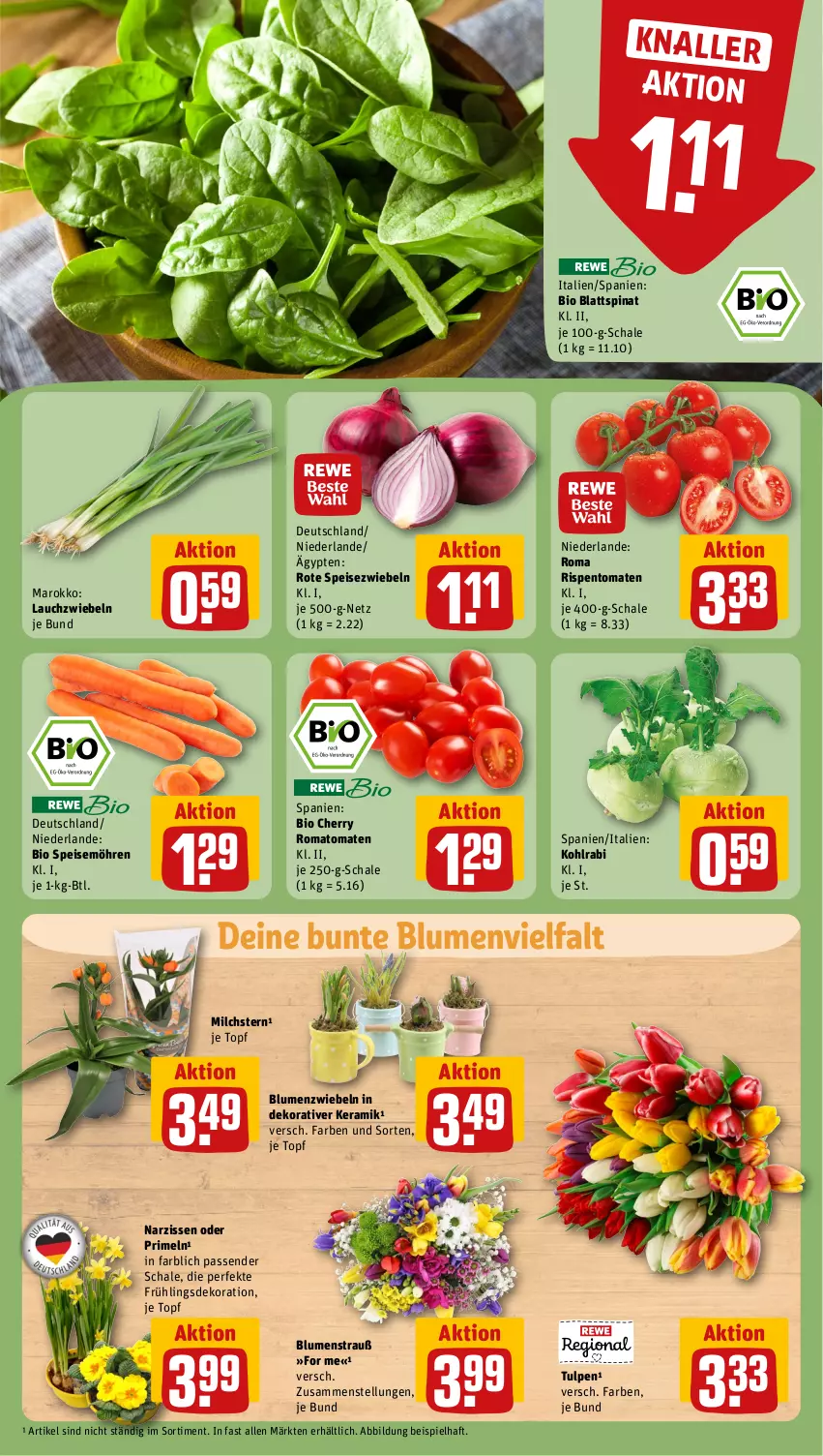 Aktueller Prospekt Rewe - Prospekte - von 26.02 bis 02.03.2024 - strona 7 - produkty: bio, blattspinat, blume, blumen, Blumenstrauß, dekoration, eis, kohlrabi, Lauchzwiebel, lauchzwiebeln, milch, möhren, Narzissen, Primeln, rispentomaten, Romatomaten, Schal, Schale, speisemöhren, Speisezwiebeln, spinat, Ti, tomate, tomaten, topf, zwiebel, zwiebeln