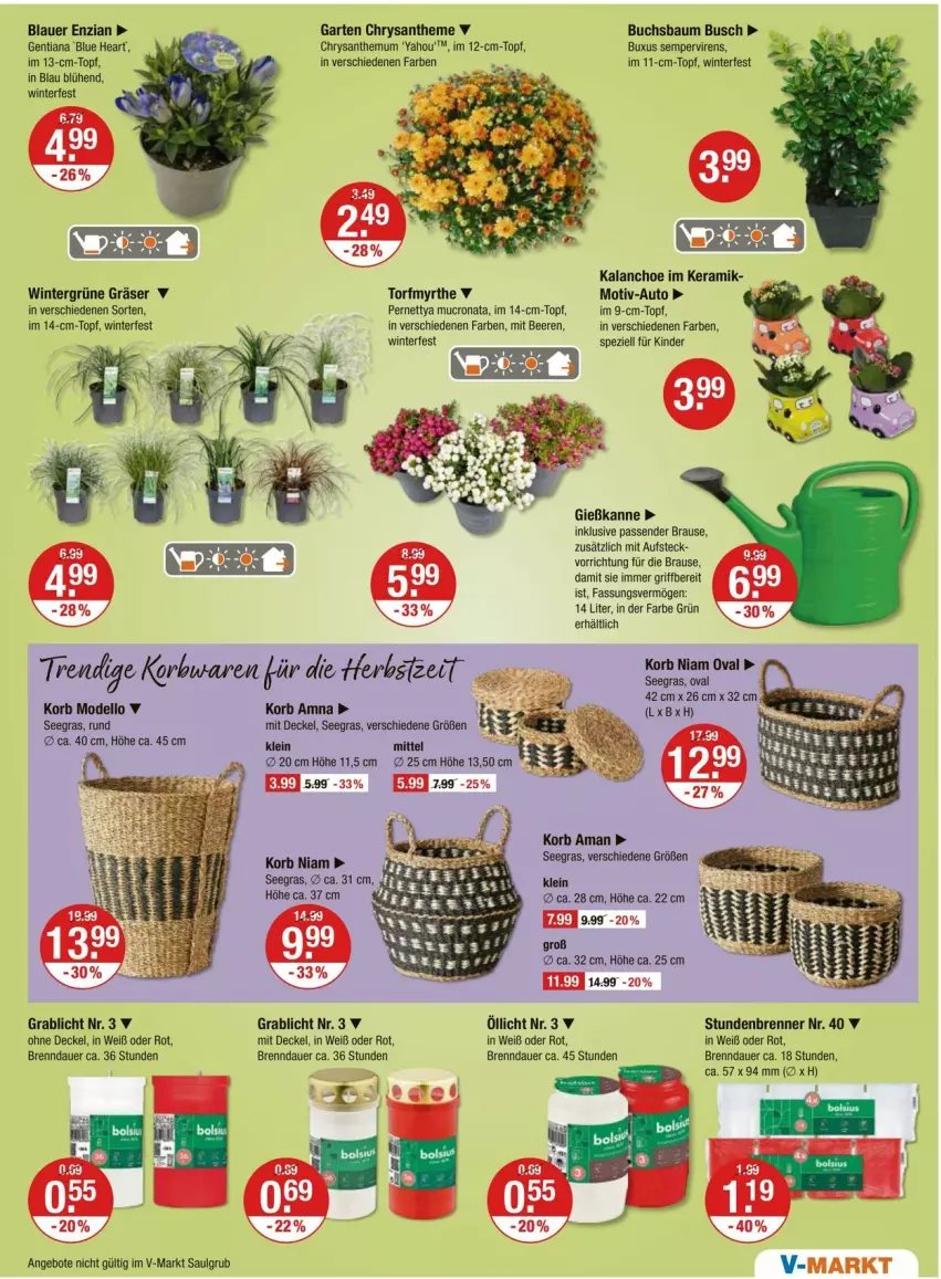 Aktueller Prospekt Vmarkt - Prospekte - von 28.08 bis 03.09.2025 - strona 13 - produkty: angebot, angebote, auer, auto, Bau, beere, beeren, brause, buch, decke, Deckel, dell, Garten, Gießkanne, im 9-cm-topf, Kalanchoe, Kinder, korb, LG, Mode, Spezi, Ti, topf
