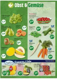Gazetka promocyjna Vmarkt - Prospekte - Gazetka - ważna od 03.09 do 03.09.2025 - strona 4 - produkty: avocado, avocados, Bratpeperoni, cherrytomaten, gurke, gurken, karotten, mango, mangos, ndk, peperoni, Peroni, Rettich, Schal, Schale, Ti, tomate, tomaten
