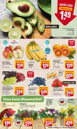 Gazetka promocyjna Rewe - Diese Woche im Angebot! - Gazetka - ważna od 19.03 do 19.03.2022 - strona 2 - produkty: aktionspreis, avocado, banane, bananen, beere, beeren, blume, blumen, Blutorange, chiquita, eis, erdbeere, erdbeeren, heidelbeere, heidelbeeren, orange, orangen, pflanze, pflanzen, Physalis, Primeln, reis, rote tafeläpfel, Schal, Schale, tafeläpfel, tafeltrauben, Ti, topf, trauben