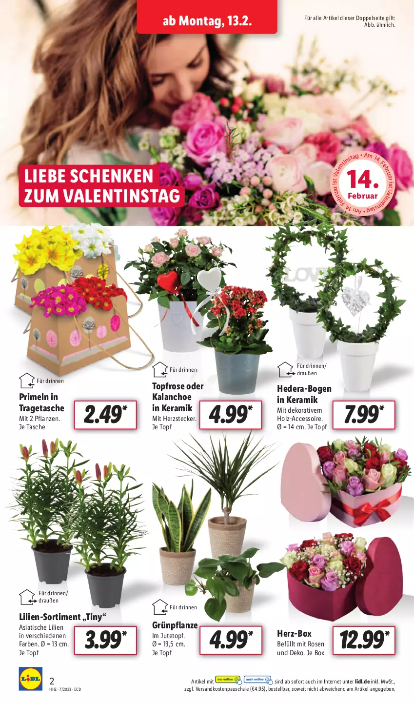 Aktueller Prospekt Lidl - Aktionsprospekt - von 13.02 bis 18.02.2023 - strona 2 - produkty: ACC, Holz, Kalanchoe, ndk, pflanze, pflanzen, Primeln, rosen, Schal, Schale, Tasche, Ti, tisch, topf, tragetasche