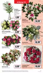 Gazetka promocyjna Lidl - Aktionsprospekt - Gazetka - ważna od 18.02 do 18.02.2023 - strona 3 - produkty: angebot, blume, blumen, Blumenstrauß, dell, eis, elle, Mode, reis, rosen, Rosenstrauß, Ti, ZTE