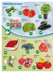 Gazetka promocyjna Vmarkt - V-Markt - Gazetka - ważna od 27.04 do 27.04.2022 - strona 4 - produkty: aubergine, auberginen, basilikum, beere, beeren, beutel, bio, erdbeere, erdbeeren, gin, grana, Granatäpfel, gurke, gurken, heidelbeere, heidelbeeren, kopfsalat, orange, orangen, paprika, Rana, salat, tomate, tomaten, topf