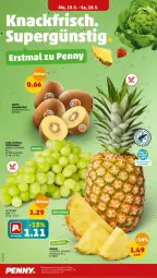 Gazetka promocyjna Penny - Prospekte - Gazetka - ważna od 18.05 do 18.05.2024 - strona 2 - produkty: ananas, champignon, champignons, eis, Elan, elle, Frühkartoffeln, kartoffel, kartoffeln, kiwi, reis, Schal, Schale, speisefrühkartoffeln, tafeltrauben, trauben, zespri, ZTE