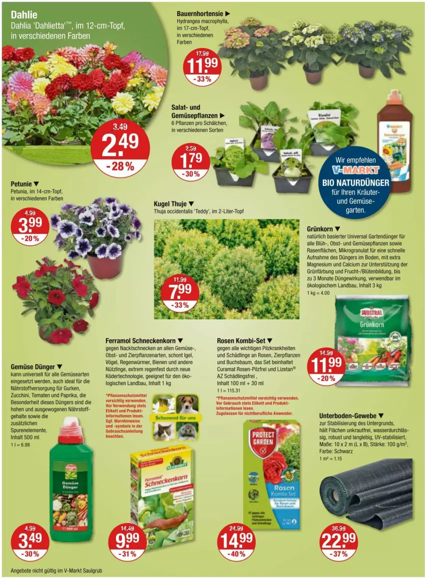 Aktueller Prospekt Vmarkt - Prospekte - von 25.04 bis 01.05.2024 - strona 20 - produkty: angebot, angebote, auer, Bau, Bauer, bio, Blüte, buch, Calcium, dahlie, dünger, elle, ente, erde, ferramol schneckenkorn, frucht, Garten, gurke, gurken, hortensie, hydrangea, korn, Kraut, kräuter, Kugel, LG, mac, magnesium, natur, obst, paprika, petunie, pflanze, pflanzen, rama, rasen, rosen, rwe, salat, schneckenkorn, senf, Ti, tomate, tomaten, topf, und gemüse, wasser, zucchini