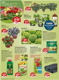 Gazetka promocyjna Vmarkt - Prospekte - Gazetka - ważna od 01.05 do 01.05.2024 - strona 20 - produkty: angebot, angebote, auer, Bau, Bauer, bio, Blüte, buch, Calcium, dahlie, dünger, elle, ente, erde, ferramol schneckenkorn, frucht, Garten, gurke, gurken, hortensie, hydrangea, korn, Kraut, kräuter, Kugel, LG, mac, magnesium, natur, obst, paprika, petunie, pflanze, pflanzen, rama, rasen, rosen, rwe, salat, schneckenkorn, senf, Ti, tomate, tomaten, topf, und gemüse, wasser, zucchini